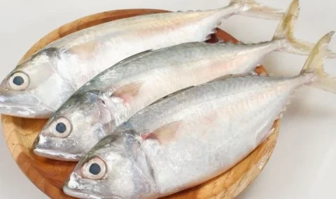 ikan-baru-ditebar-langsung-ditangkap-warga:-apakah-halal?
