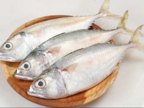 ikan-baru-ditebar-langsung-ditangkap-warga:-apakah-halal?