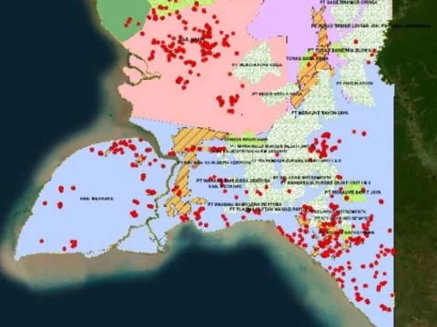 walhi-soroti-dominasi-titik-api-papua-selatan-di-wilayah-food-estate-dan-konsesi-psn