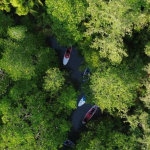 warga-pulihkan-hutan-mangrove-soropia-di-tengah-ancaman-proyek-terminal-migas