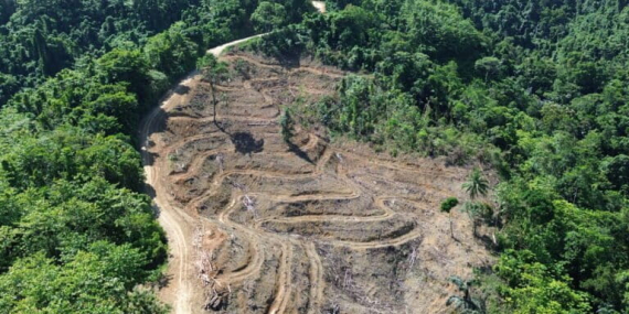 warga-waswas-ketika-hutan-gorontalo-utara-terus-tergerus