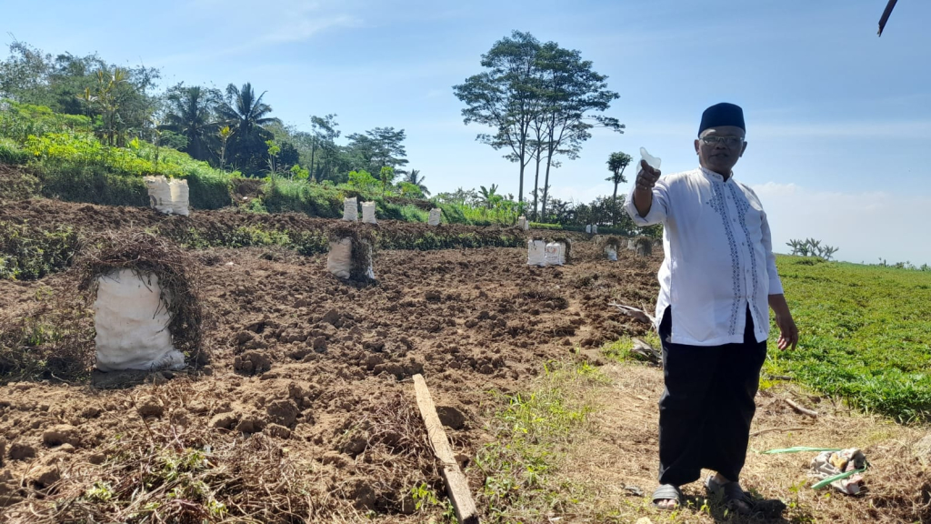 riset-rekomendasikan-petani-tembakau-beralih-tanam-dan-bentuk-koperasi