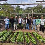 bioenergi-malapari,-bahan-bakar-masa-depan-dari-pesisir