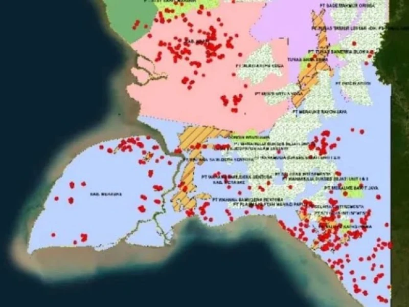 walhi-temukan-ratusan-titik-api-di-area-food-estate-papua-selatan