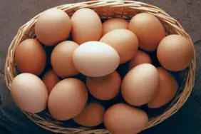 telur-ceplok-atau-telur-dadar,-mana-lebih-sehat?