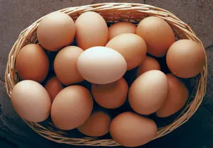 telur-ceplok-atau-telur-dadar,-mana-lebih-sehat?