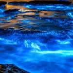 fenomena-laut-susu-terpantau-satelit-nasa,-ilmuwan-ungkap-misterinya