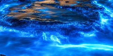 fenomena-laut-susu-terpantau-satelit-nasa,-ilmuwan-ungkap-misterinya