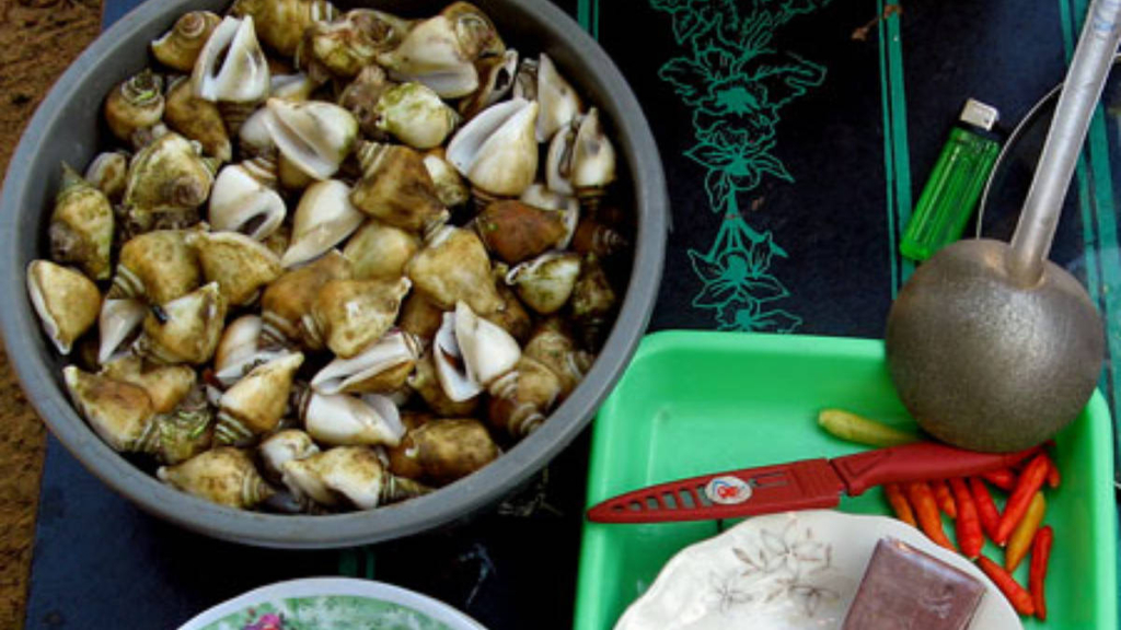 siput-gonggong,-kudapan-tradisional-dari-bangka-belitung-yang-kaya-akan-kandungan-protein