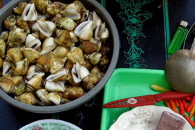 siput-gonggong,-kudapan-tradisional-dari-bangka-belitung-yang-kaya-akan-kandungan-protein
