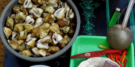 siput-gonggong,-kudapan-tradisional-dari-bangka-belitung-yang-kaya-akan-kandungan-protein