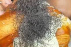 viral-croissant-‘berambut’:-menakar-prinsip-halalan-tayyiban-dalam-islam
