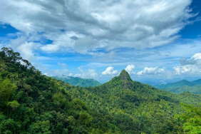 upaya-warga-hadirkan-kembali-kicau-burung-di-pegunungan-menoreh