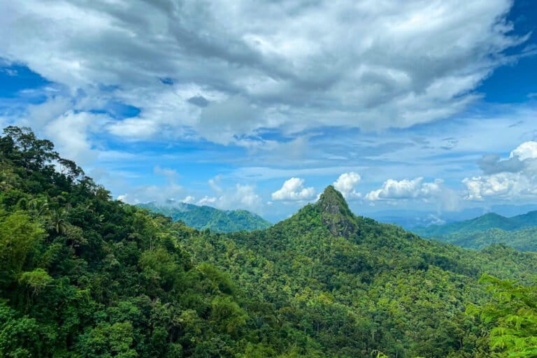 upaya-warga-hadirkan-kembali-kicau-burung-di-pegunungan-menoreh
