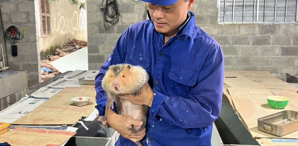 hantavirus-ditemukan-pada-peternak-satwa-liar-di-vietnam:-alarm-bagi-asia-tenggara