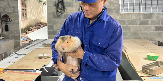 hantavirus-ditemukan-pada-peternak-satwa-liar-di-vietnam:-alarm-bagi-asia-tenggara