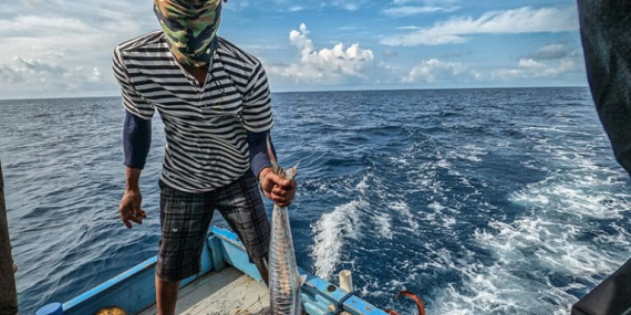upwelling-dan-el-nino-datang-bersamaan,-tangkapan-ikan-melimpah?