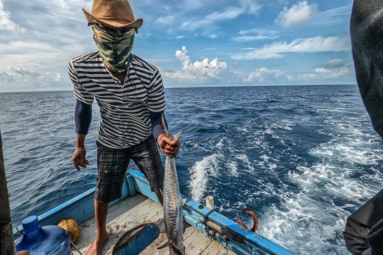 upwelling-dan-el-nino-datang-bersamaan,-tangkapan-ikan-melimpah?