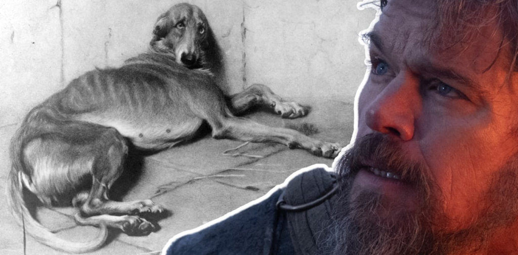 the-dog-who-waited-for-odysseus:-argos-reflects-the-deep-human-animal-bonds-of-ancient-greece