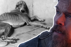 the-dog-who-waited-for-odysseus:-argos-reflects-the-deep-human-animal-bonds-of-ancient-greece