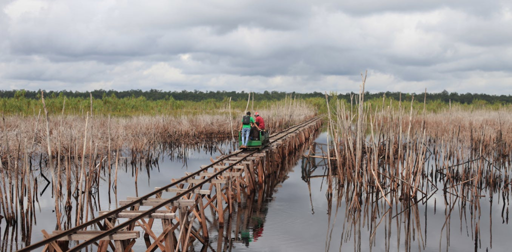 mengadang-el-nino,-meredam-karhutla:-restorasi-gambut-harus-berlanjut-meski-brgm-bubar