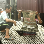nelayan-rawa-paminggir-merajut-asa-di-tengah-susutnya-tangkapan-ikan-rawa