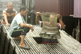 nelayan-rawa-paminggir-merajut-asa-di-tengah-susutnya-tangkapan-ikan-rawa