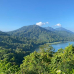 cerita-orang-muda-di-bali-jaga-hutan-dan-ekowisata-lokal