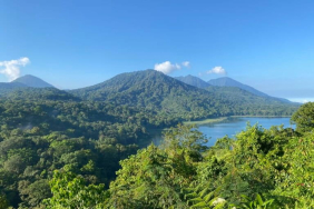 cerita-orang-muda-di-bali-jaga-hutan-dan-ekowisata-lokal