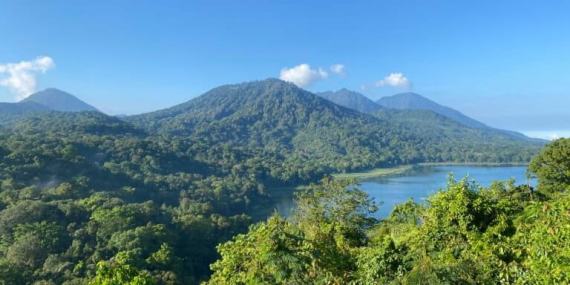 cerita-orang-muda-di-bali-jaga-hutan-dan-ekowisata-lokal