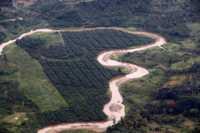 opini:-sungai-yang-hilang-di-dalam-konsesi-sawit