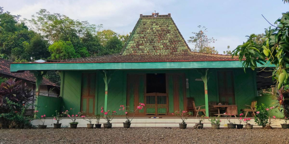 jenius-arsitektur-jawa:-mengapa-rumah-joglo-adalah-mahakarya-anti-gempa?