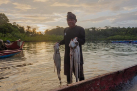 dorong-perluasan-jeda-tangkap-di-kepulauan-mentawai
