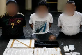 polresta-banyuwangi-gagalkan-penyelundupan-23.000-benih-lobster-ilegal,-tiga-tersangka-diamankan