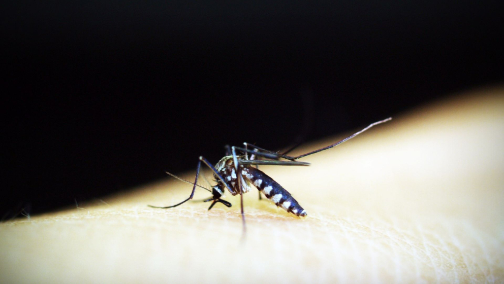 mempertahankan-daerah-bebas-malaria-dan-percepat-eliminasinya-menuju-2030
