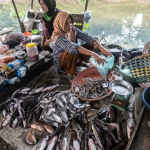 sungai-dan-wayang-harimau-di-sumatera-selatan