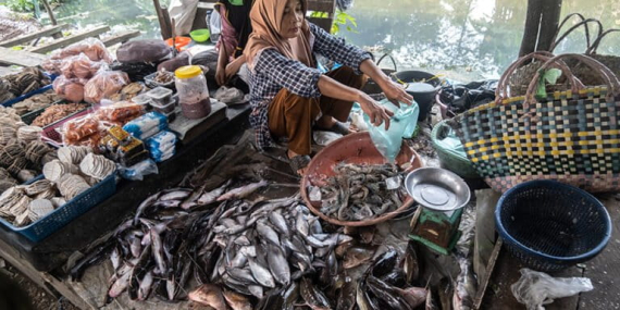 sungai-dan-wayang-harimau-di-sumatera-selatan