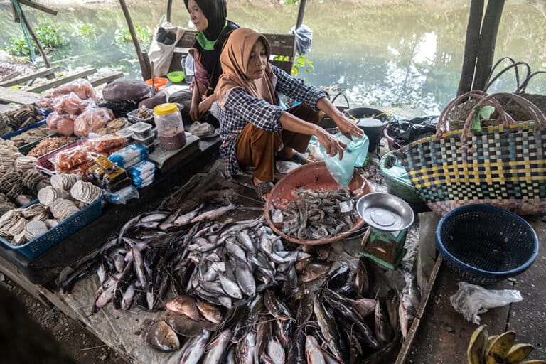 sungai-dan-wayang-harimau-di-sumatera-selatan