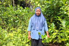 upaya-kelompok-tani-perempuan-pulihkan-hutan-dan-jaga-tesso-nilo