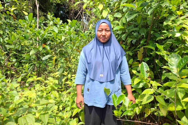 upaya-kelompok-tani-perempuan-pulihkan-hutan-dan-jaga-tesso-nilo
