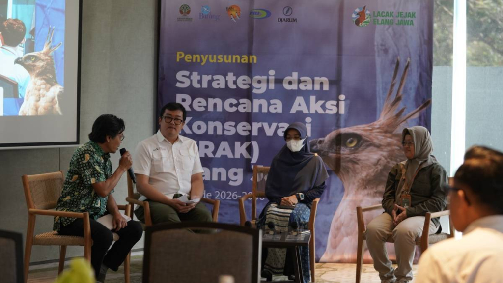 nasib-elang-jawa-ditentukan!-bandung-jadi-awal-misi-besar-selamatkan-sang-raja-langit-indonesia