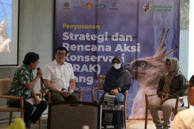 nasib-elang-jawa-ditentukan!-bandung-jadi-awal-misi-besar-selamatkan-sang-raja-langit-indonesia