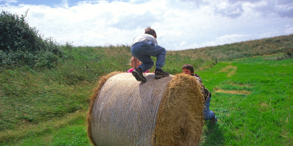 britain’s-quarter-century:-shrinking-families,-ethnic-tensions-and-queer-winners-and-losers