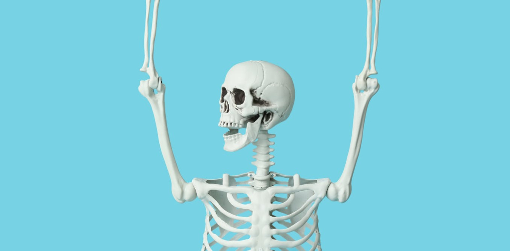 bones-are-much-more-dynamic-than-scientists-once-believed-–-they-even-have-a-daily-rhythm