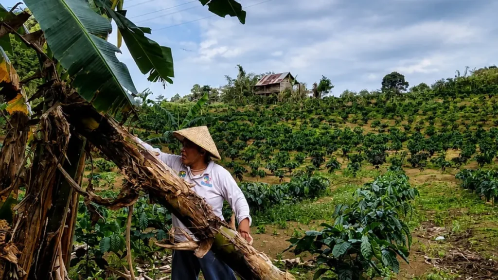 ketika-sungai-mendadak-keruh,-perempuan-desa-penyandingan-tahu-bahwa-hutan-adat-mereka-terancam