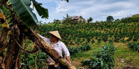 Ketika Sungai Mendadak Keruh, Perempuan Desa Penyandingan Tahu bahwa Hutan Adat Mereka Terancam