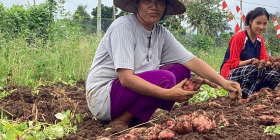 maluku-utara-ternyata-punya-puluhan-jenis-pangan,-apa-saja?