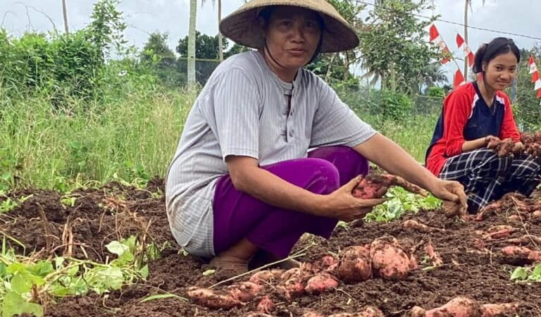 maluku-utara-ternyata-punya-puluhan-jenis-pangan,-apa-saja?