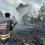 ketika-kebakaran-hutan-dan-lahan-menggila-di-kalimantan
