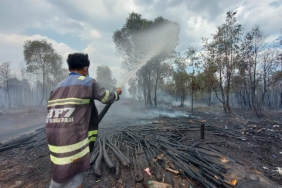 ketika-kebakaran-hutan-dan-lahan-menggila-di-kalimantan